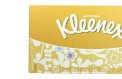 KLEENEX: An example of a brand name that has come to stand for a generic product.