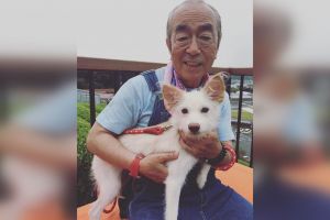 Ken Shimura was one of Japan's best-known comedians with a career dating back to the early 1970s.