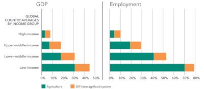 Figure 1. As economies grow, agri-food job creation shifts beyond the farm, while on-farm jobs become fewer and better